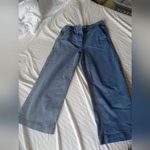 Everlane Wide Leg Crop Pant